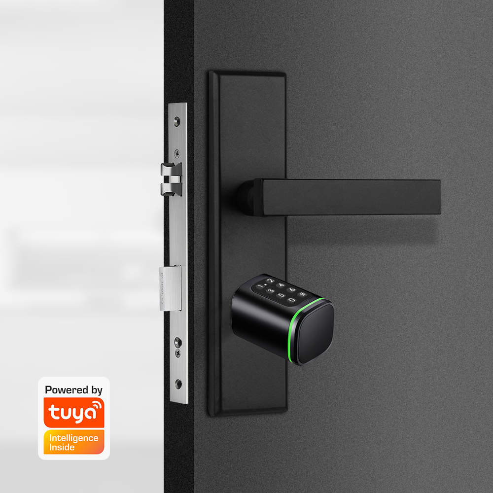 สมาร์ทล็อคกระบอก Tuya 60-90 มม - Home Security Key บทวิจารณ์และราคา